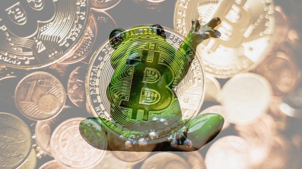 Project Deep Dive: Frog-Themed Crypto Tokens